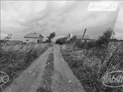 main photo - 229186