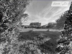 main photo - 229190