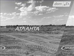 main photo - 229728