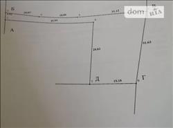 main photo - 229732