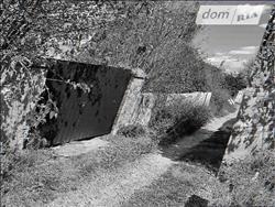 main photo - 229739