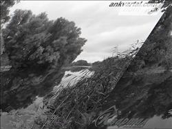main photo - 230132