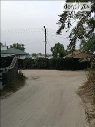 main photo - 230137