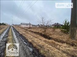 main photo - 231658