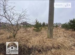 main photo - 231662