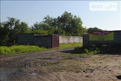 main photo - 233093