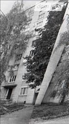 main photo - 233855