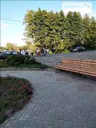 main photo - 234351