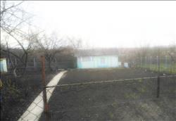 main photo - 234421