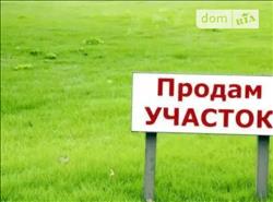 main photo - 234685