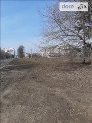 main photo - 234694