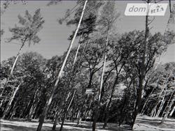 main photo - 234704