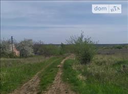 main photo - 234707