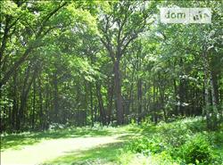 main photo - 234716