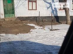 main photo - 235702