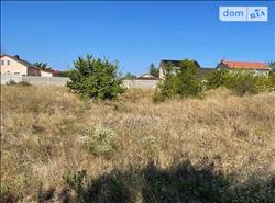 main photo - 235707