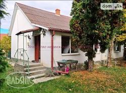 main photo - 236646