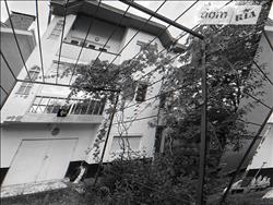 main photo - 236657
