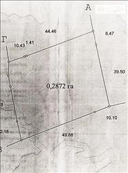 main photo - 237539
