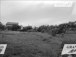 main photo - 237543