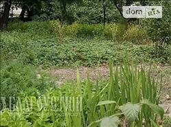 main photo - 237544
