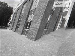 main photo - 238241