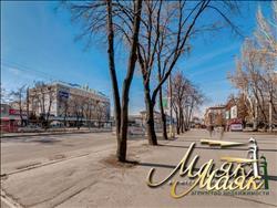 main photo - 238501