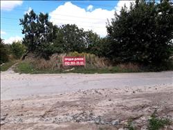 main photo - 239576