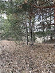 main photo - 243561