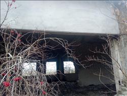 main photo - 245696