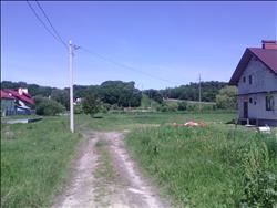 main photo - 246188