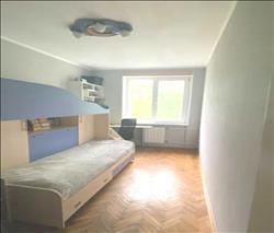 main photo - 246764