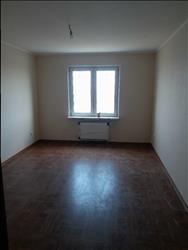 main photo - 247173