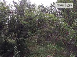 main photo - 63040