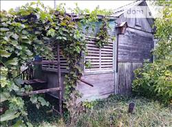 main photo - 66708
