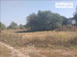 main photo - 66790