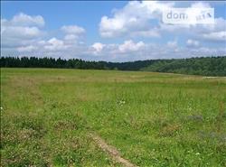 main photo - 66802