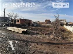 main photo - 81548