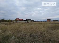 main photo - 91002
