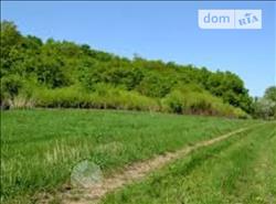 main photo - 96668