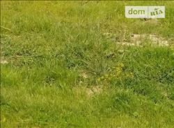 main photo - 97651
