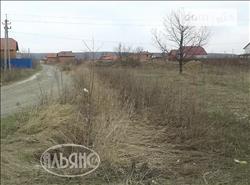 main photo - 97656