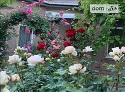 main photo - 98342