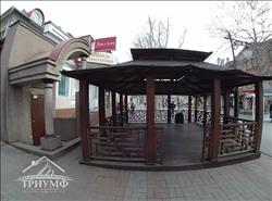 main photo - 98462