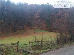main photo - 99759