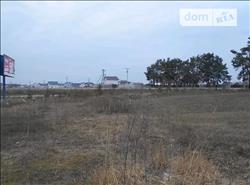 main photo - 101535