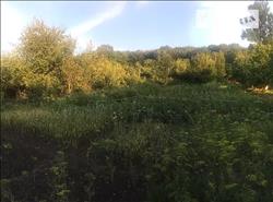 main photo - 103473