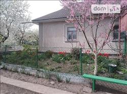 main photo - 103481