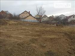 main photo - 103697