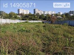 main photo - 103702